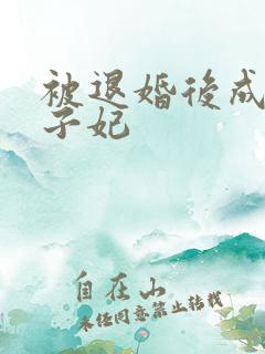 被退婚后成了太子妃