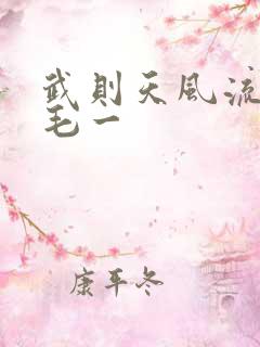 武则天风流艳情毛一