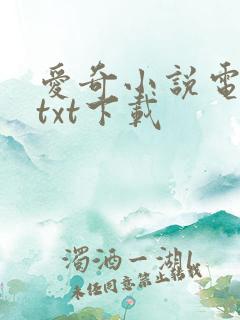 爱奇小说电子书txt下载