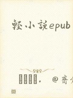 轻小说epub