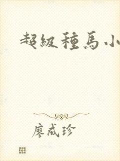 超级种马小说