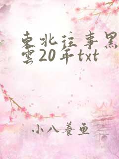东北往事黑道风云20年txt