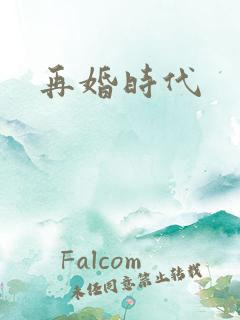 再婚时代