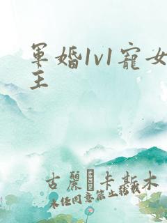 军婚1v1宠女主