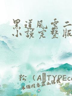 黑道风云二十年小说完整版