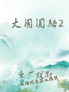 大团圆结2