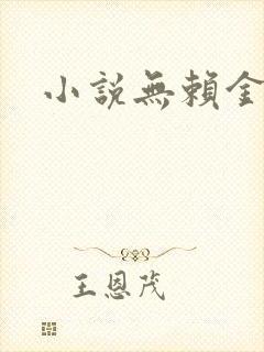 小说无赖金仙