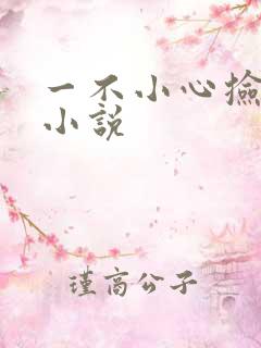 一不小心捡到爱小说