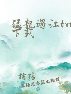 猛龙过江txt下载