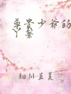 尊贵少爷的大牌丫鬟