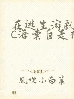 在逃生游戏里挨C海棠自走棋