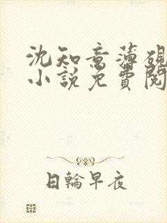 沈知意薄砚霆的小说免费阅读