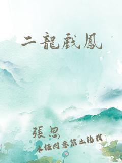 二龙戏凤