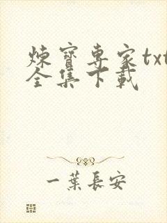 炼宝专家txt全集下载