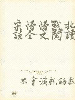 宋惜惜战北望小说全文阅读