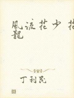 风流花少 花睿龙