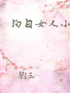 狗日女人小说