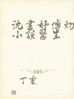 沈书妤傅灼抖音小说医生