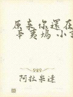 原来你还在这里 辛夷坞 小说