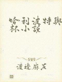 哈利波特与火焰杯小说