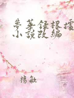 梦华录根据什么小说改编