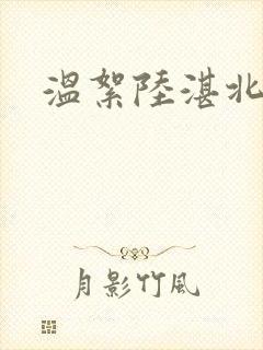 温絮陆湛北