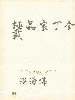 极品家丁全集下载