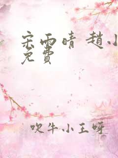 宋雨晴 赵小刚免费