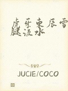 虎牙东辰雪见抖腿流水