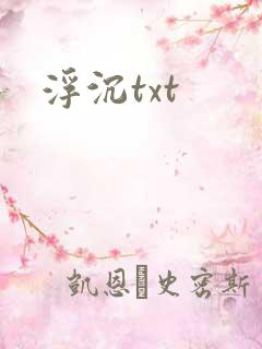 浮沉txt