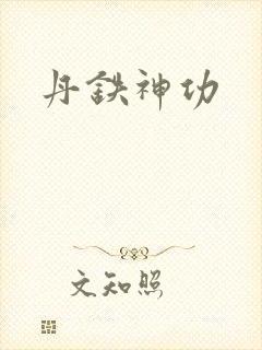 丹铁神功