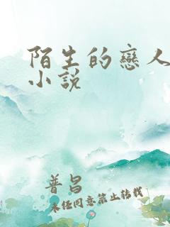 陌生的恋人原著小说