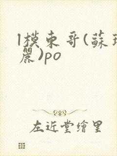 l模东哥(苏玛丽)po