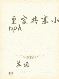 皇家共享小公主nph