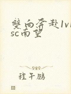 双向奔赴1v1sc南望