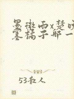 墨微雨x楚晚宁塞橘子哪一章