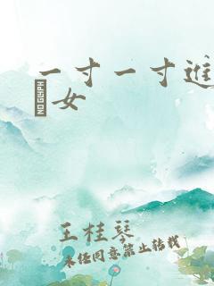 一寸一寸进入小姪女