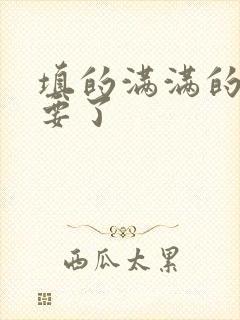 填的满满的 不要了