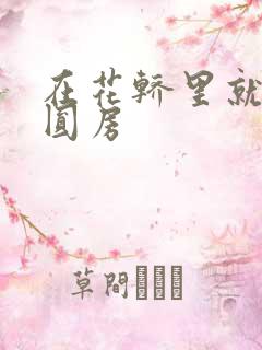 在花轿里就开始圆房