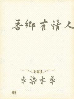 吾乡有情人小说