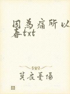 因为痛所以叫青春txt