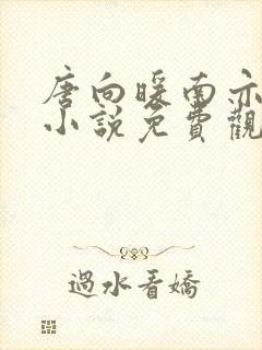 唐向暖南亦琛的小说免费观看