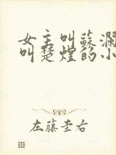 女主叫苏澜男主叫楚煜的小说