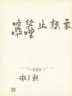 嘘禁止想象哔哩哔哩