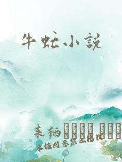 牛虻小说