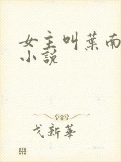 女主叫叶南初的小说