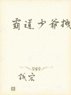 霸道少爷拽上我