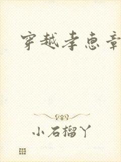 穿越孝惠章皇后