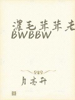 浓毛茸茸老太BBWBBW