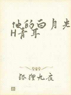 他的白月光HVH青耳